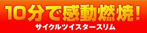 cycle (1).jpg(39643 byte)